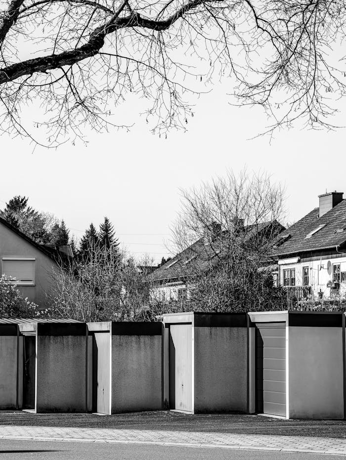 Monochrome image of suburban garages under a leafless tree in winter.